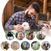 550W Professional Sheep Shearing Machine – Adjustable Animal Clipper for Sheep & Dogs with Thick Fur