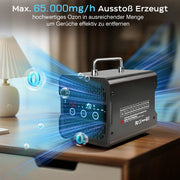 Ozone generator 65,000 mg/h – professional ozone generator for odor removal up to 300 m²