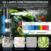 XIIW 4-in-1 Aquarium UVC Klärer Pumpe 800L/H, UV-C Innenfilter gegen grünes & trübes Wasser, für 150–300L Becken